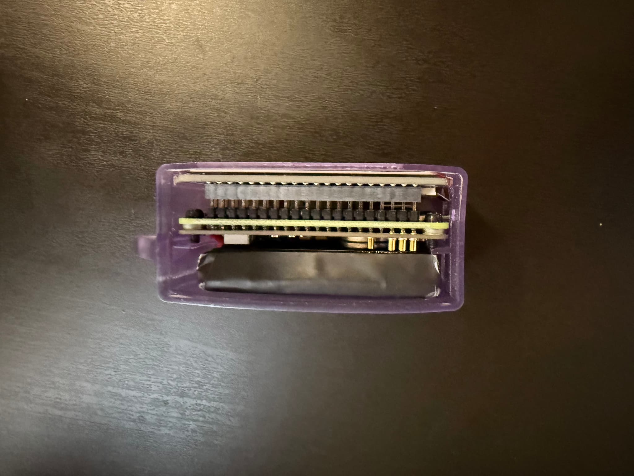 pwngotchi