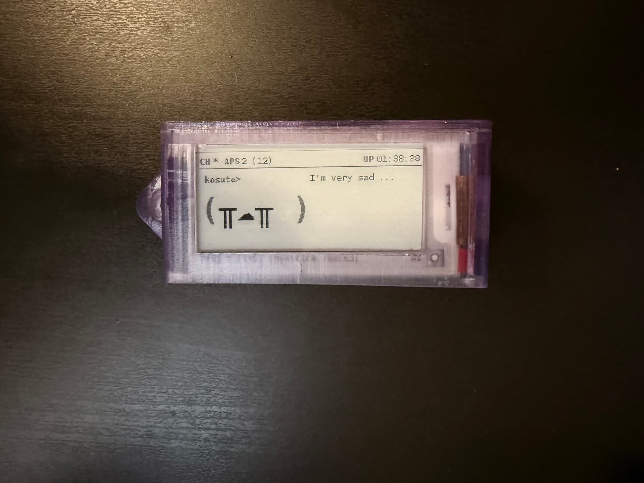 pwngotchi